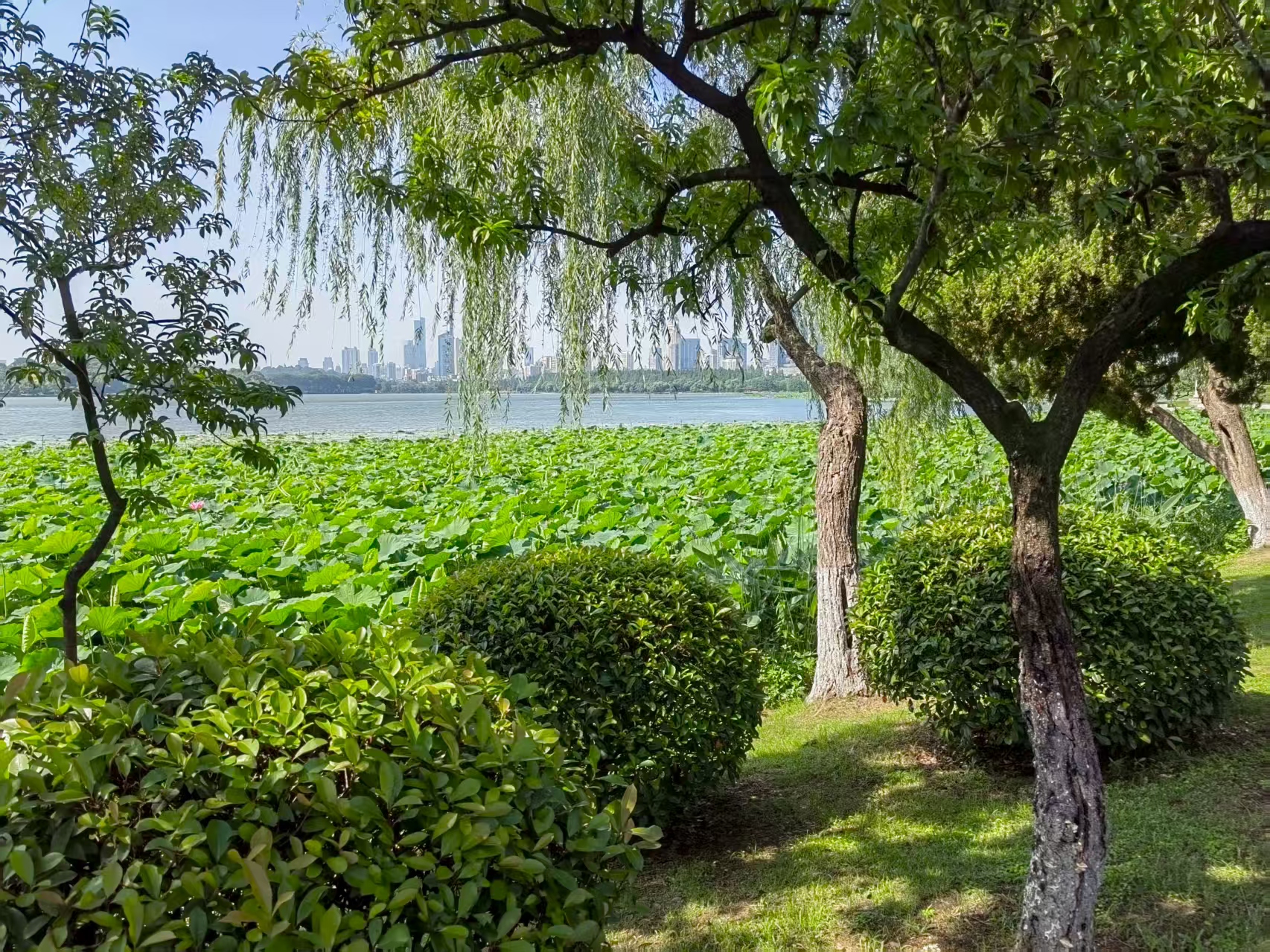 The 2025 ICPC North America Pacific Northwest Regional Contest (Div. 2, Open Mirror)赛后总结